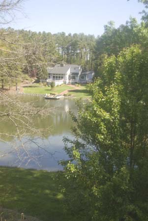 view from master bedroom window spring